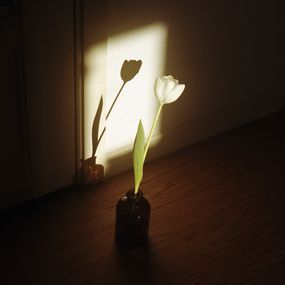 Jihun Ju, Flower poem: soulmate Jihun Ju, Flower poem: soulmate