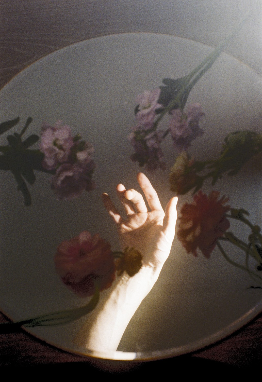 Jihun Ju, Flower poem: touching Jihun Ju, Flower poem: touching