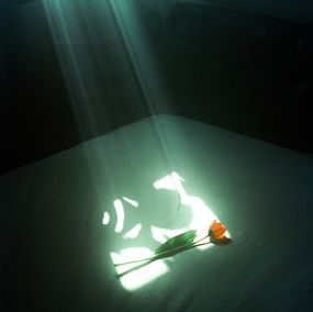 Jihun Ju, Flower Poem: Querencia Jihun Ju, Flower Poem: Querencia