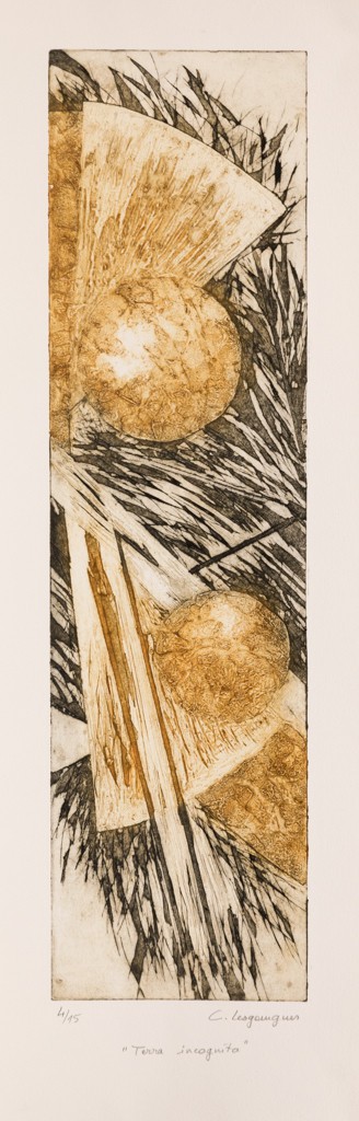 Caroline Lesgourgues, Terra Incognita, série gravures et collagraphies Caroline Lesgourgues, Terra Incognita, série gravures et collagraphies