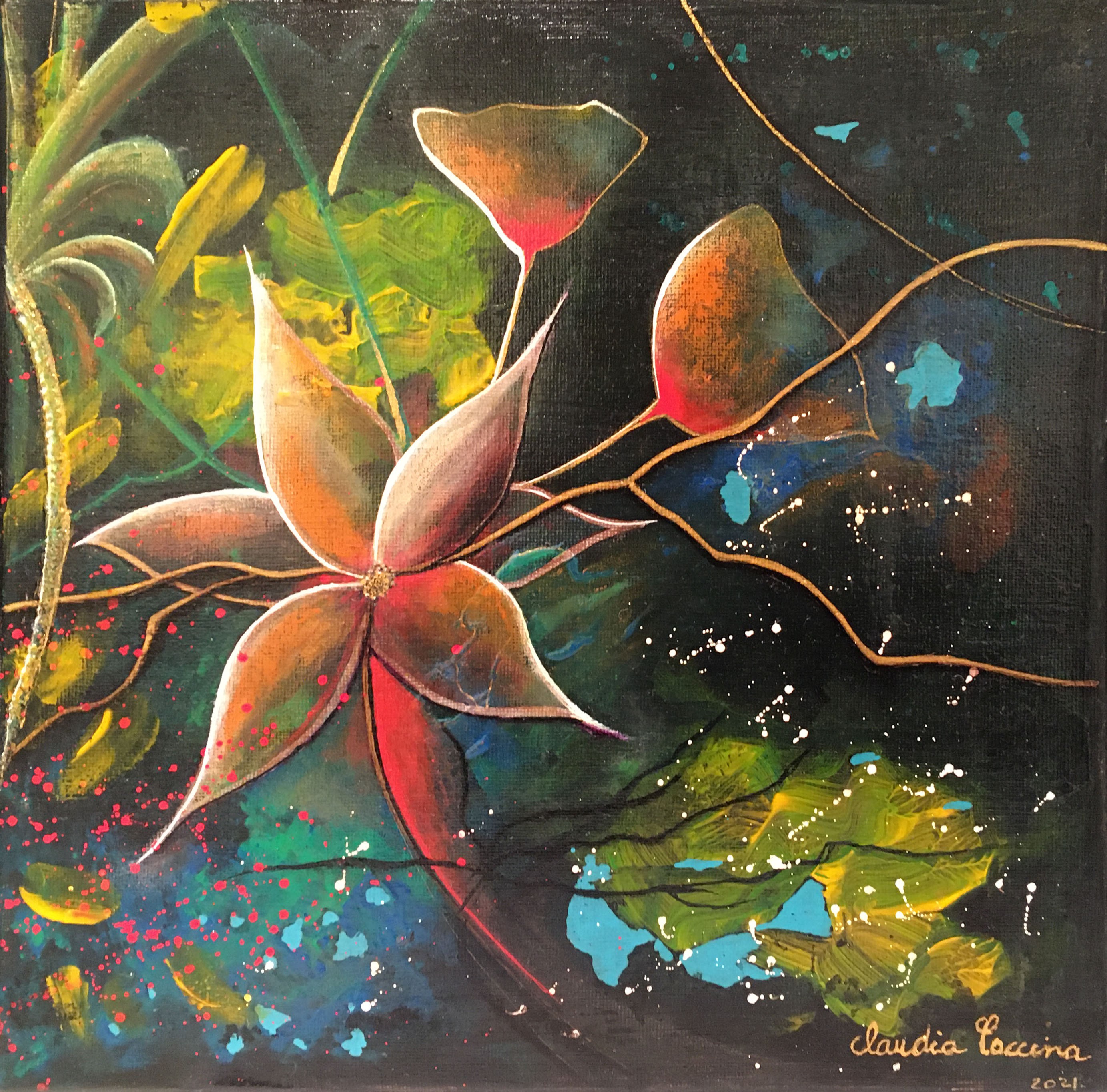 Claudia Coccina, Univers Claudia Coccina, Univers