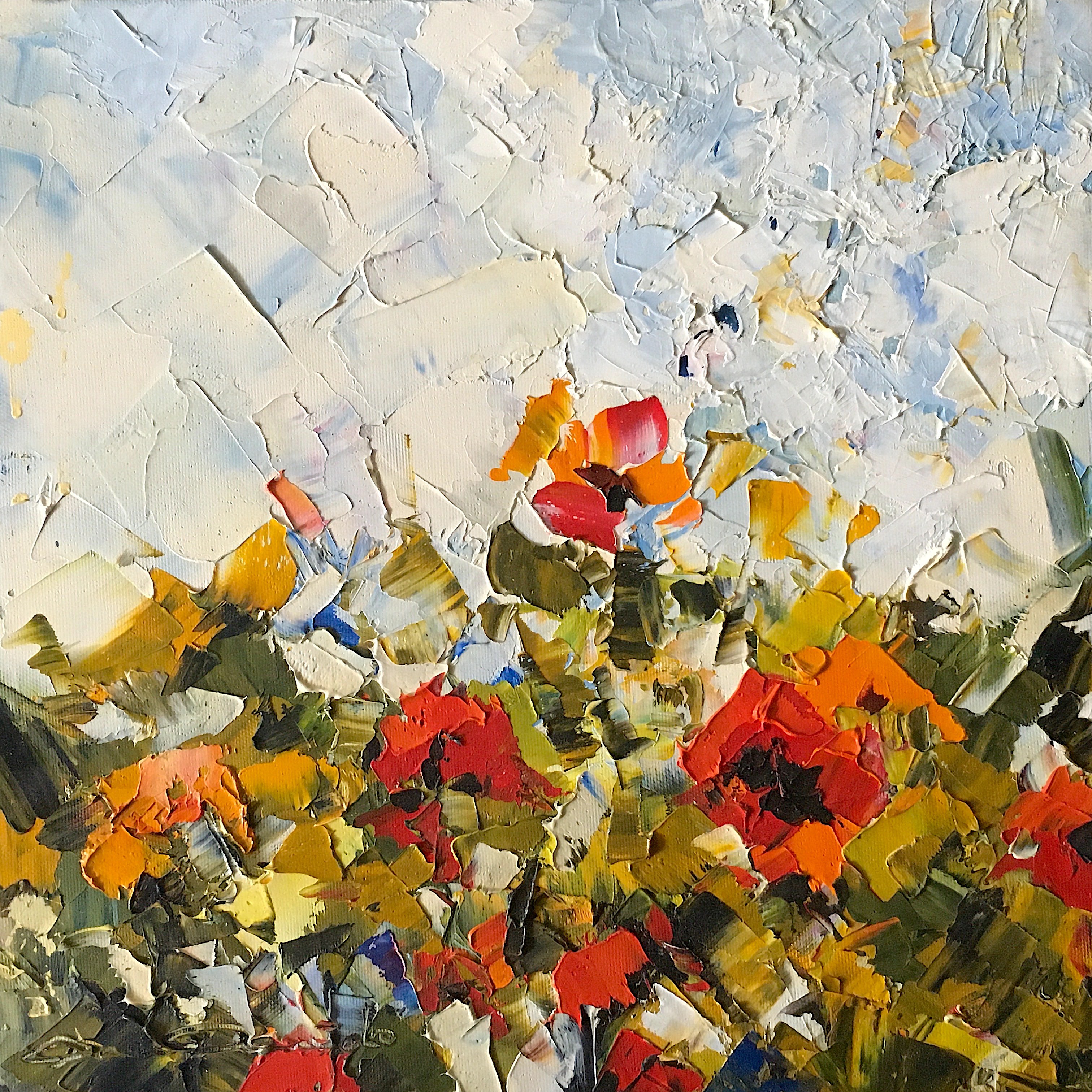 Dam Domido, Poppies in the air Dam Domido, Poppies in the air