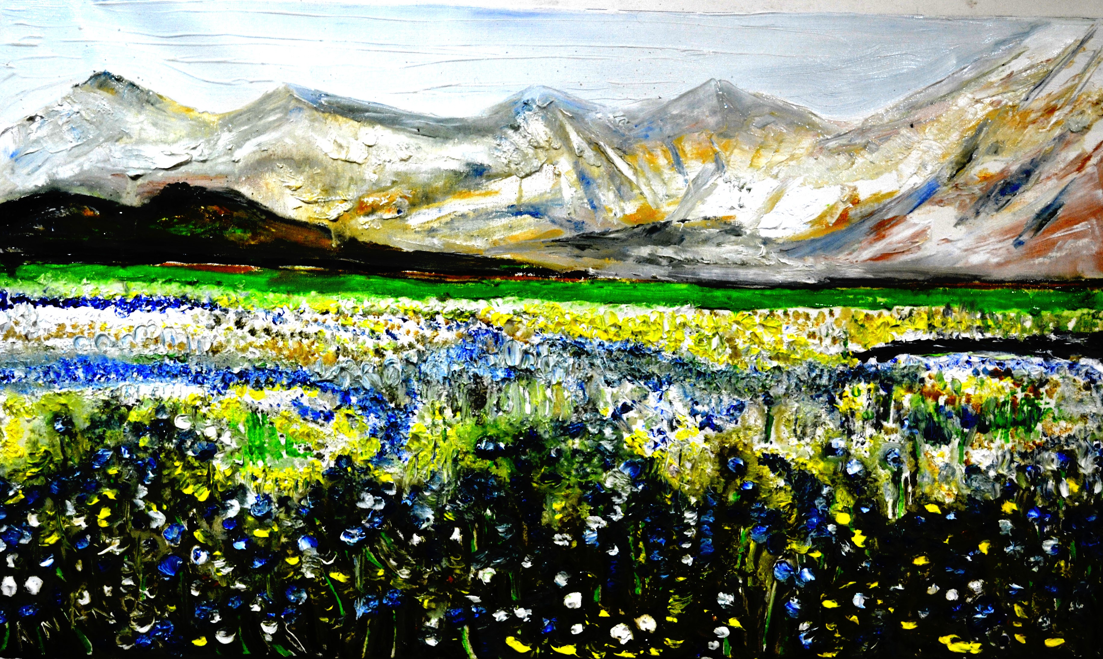 Anand Manchiraju, Valley of flowers-1 Anand Manchiraju, Valley of flowers-1