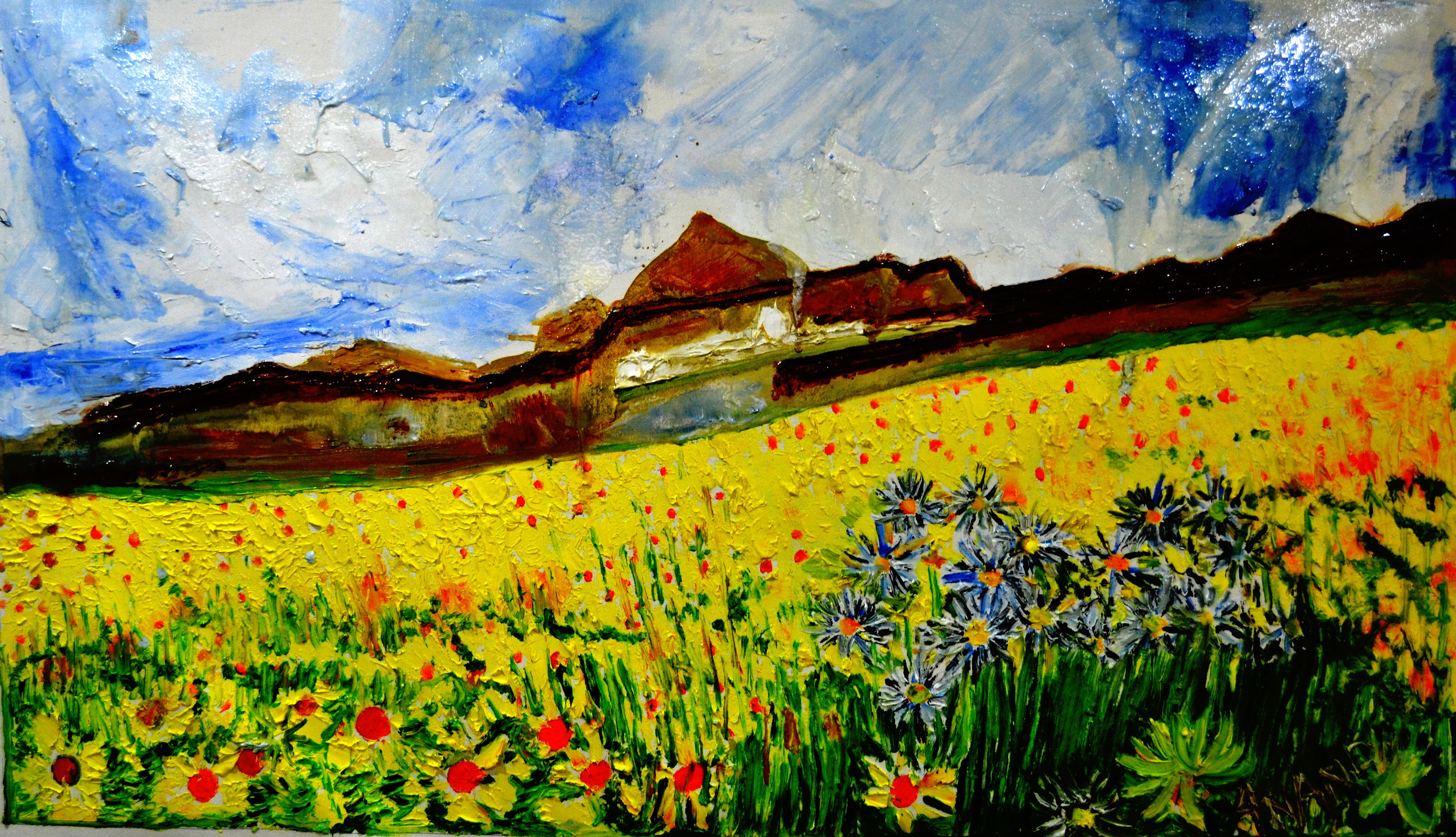 Anand Manchiraju, Valley of flowers-2 Anand Manchiraju, Valley of flowers-2