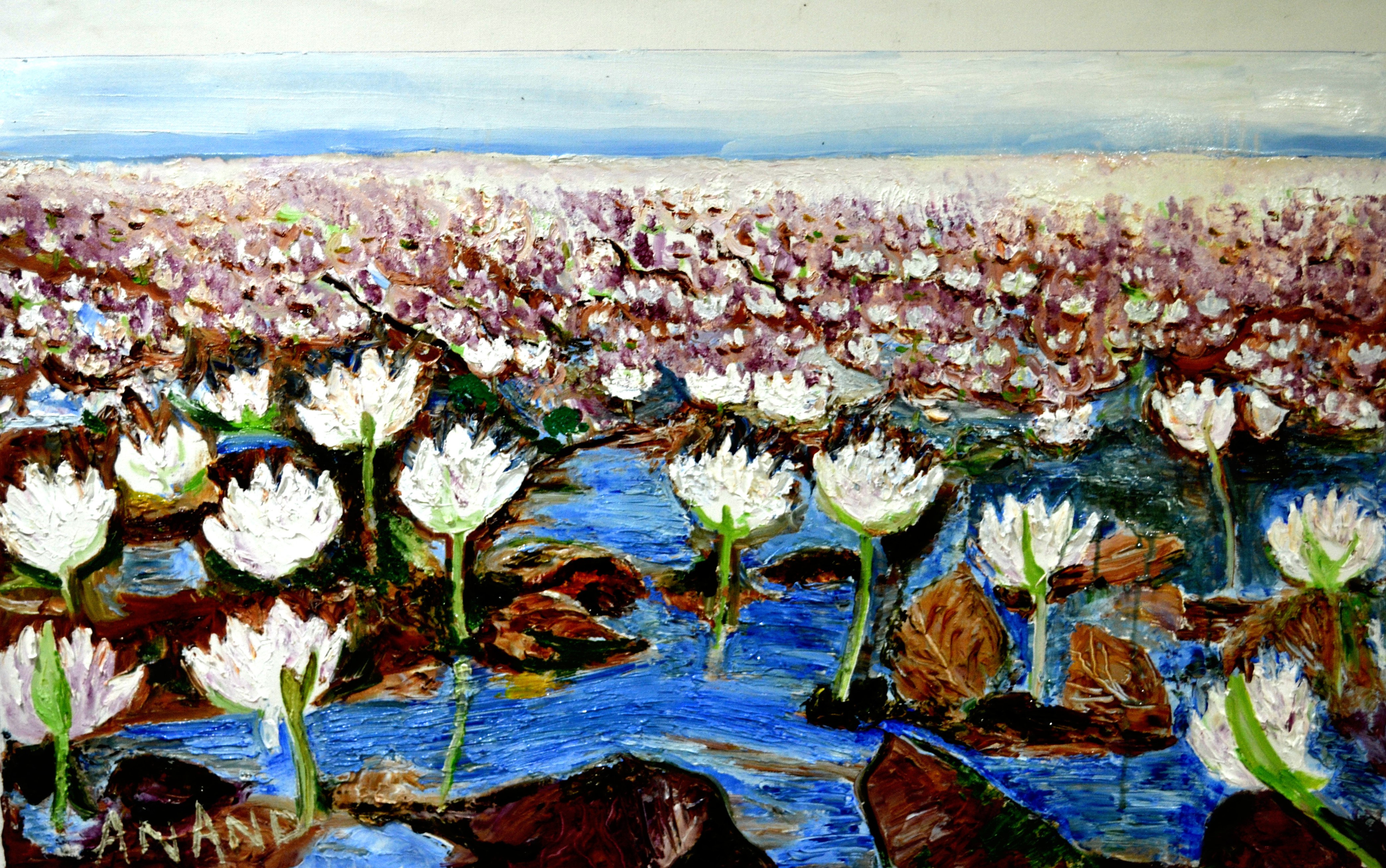 Anand Manchiraju, Lotus fields Anand Manchiraju, Lotus fields