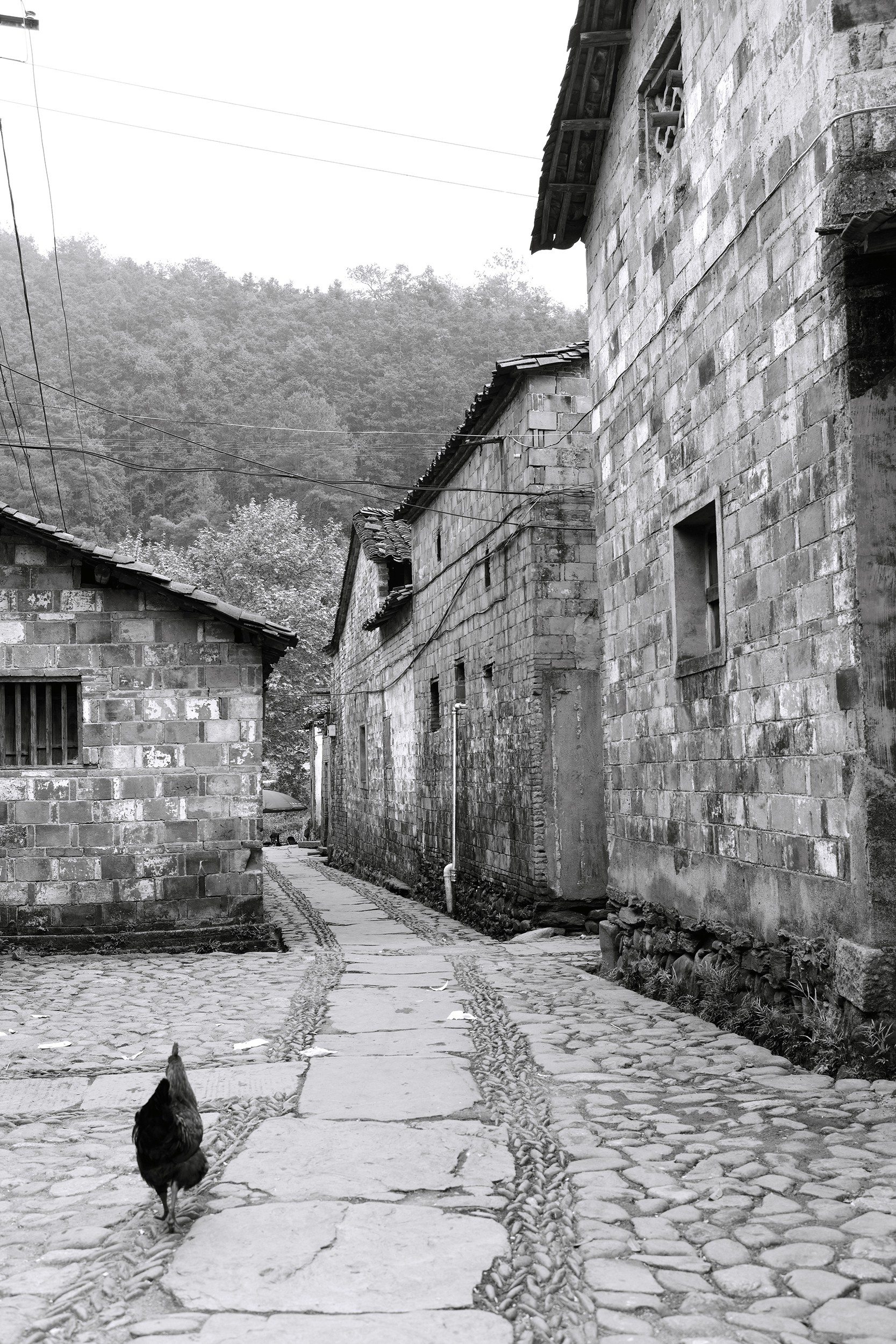 Feng Hatat, Mémoire de JingDeZhen Village 4 Feng Hatat, Mémoire de JingDeZhen Village 4