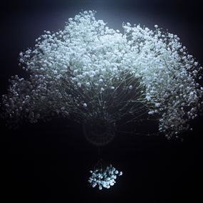 Jihun Ju, Flower Poem: Peacock Jihun Ju, Flower Poem: Peacock