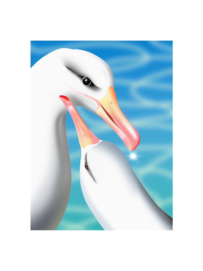 Kaixin Lyu, Seagul love - Digital Art digigraphie Kaixin Lyu, Seagul love - Digital Art digigraphie