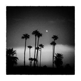 Heike Bohnstengel, Palm Tree Moon, Anza Borrego Heike Bohnstengel, Palm Tree Moon, Anza Borrego