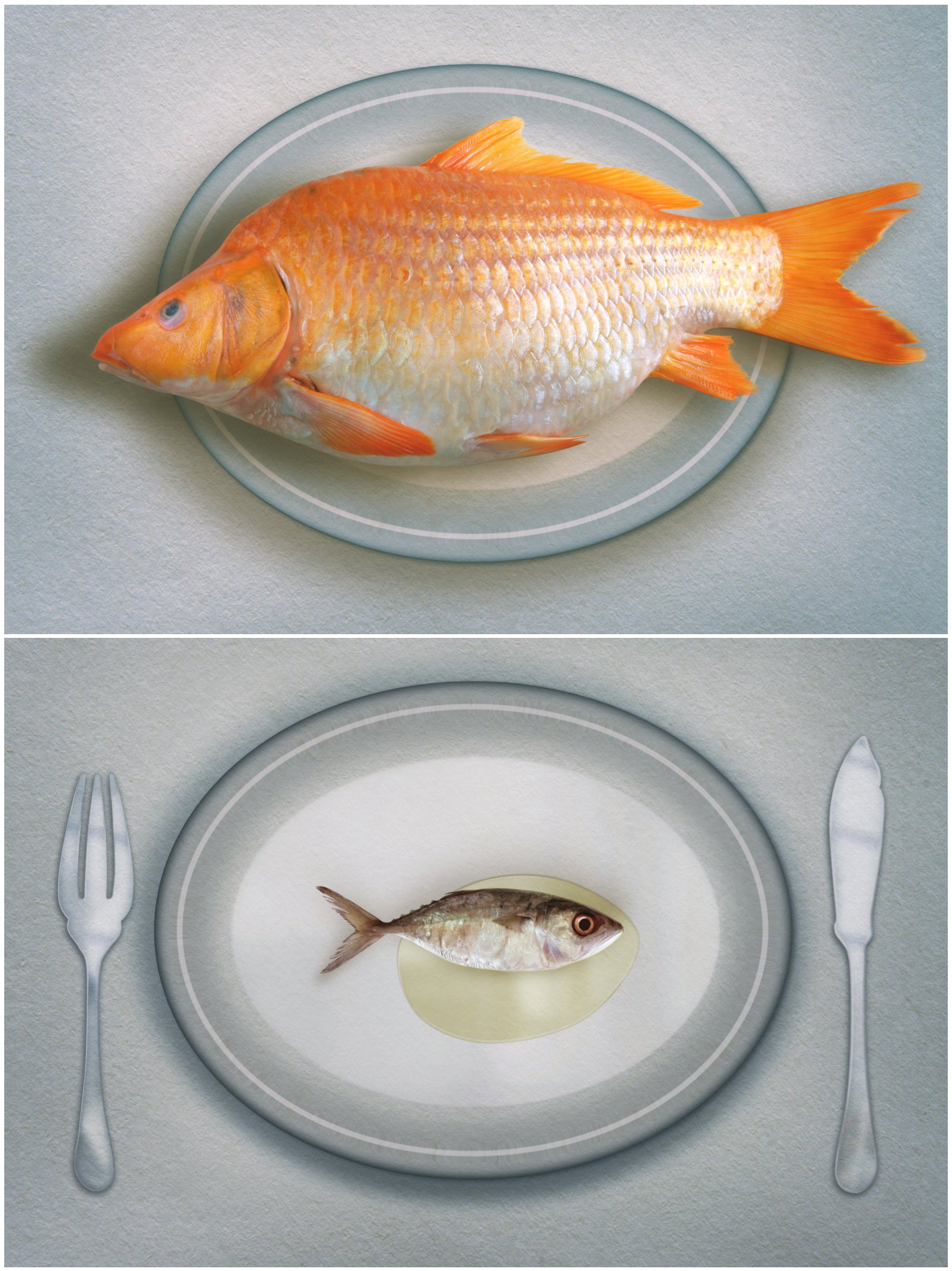 Art Grafts, Fishes on Dishes - Two Prints Art Grafts, Fishes on Dishes - Two Prints