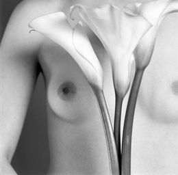 Fotografien, Flower, Larry Snider