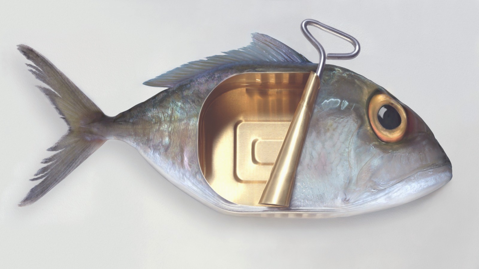 Art Grafts, Canned Fish Art Grafts, Canned Fish