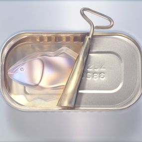 Photography, Tin Fish, Art Grafts
