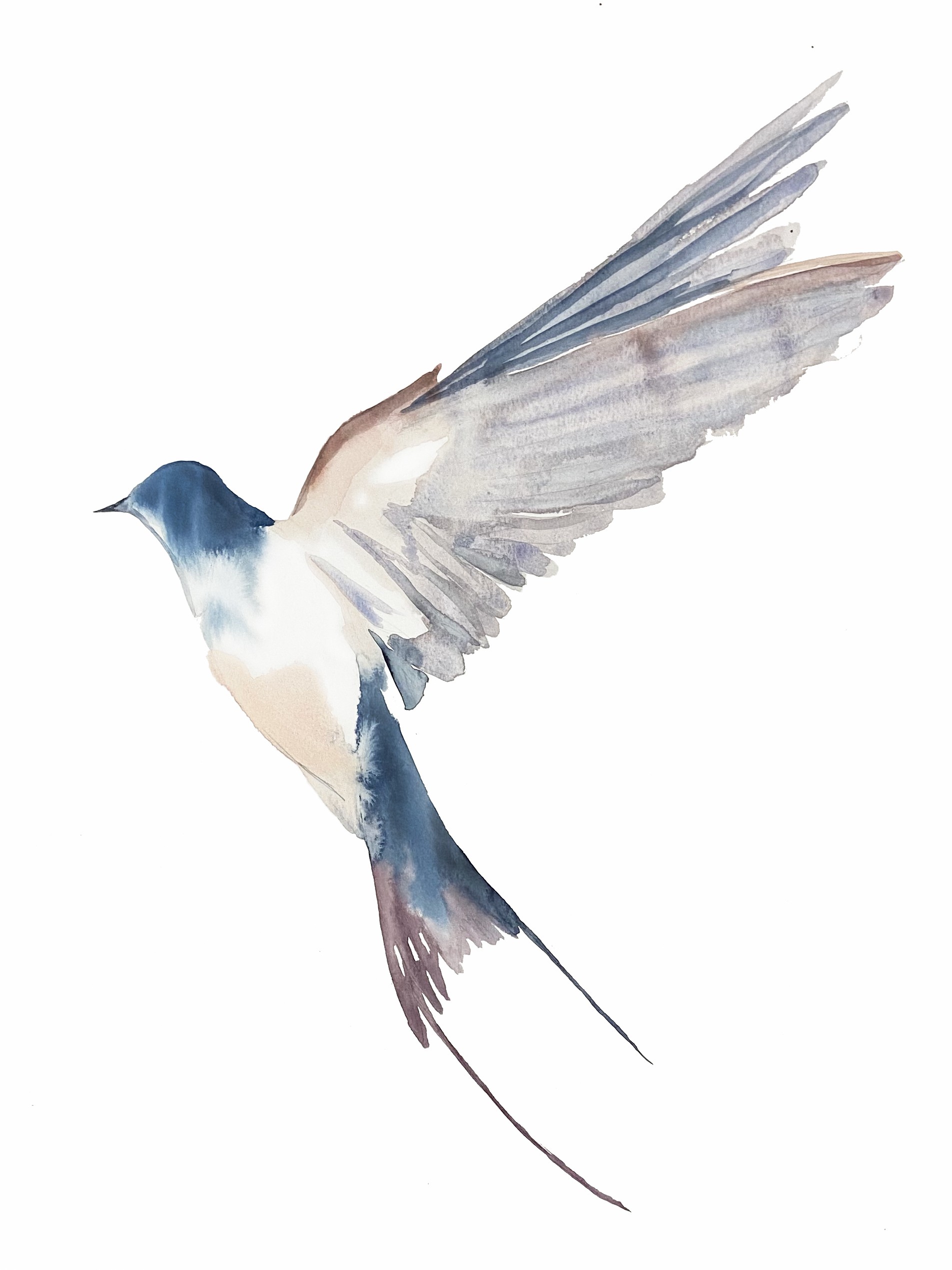 Elizabeth Becker, Swallow No. 57 Elizabeth Becker, Swallow No. 57