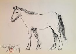 Fine Art Drawings, Cheval, Sounya Whang