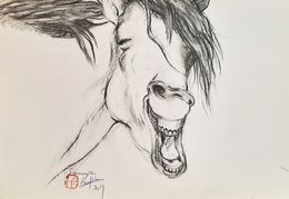 Dessin, Cheval riant, Sounya Whang