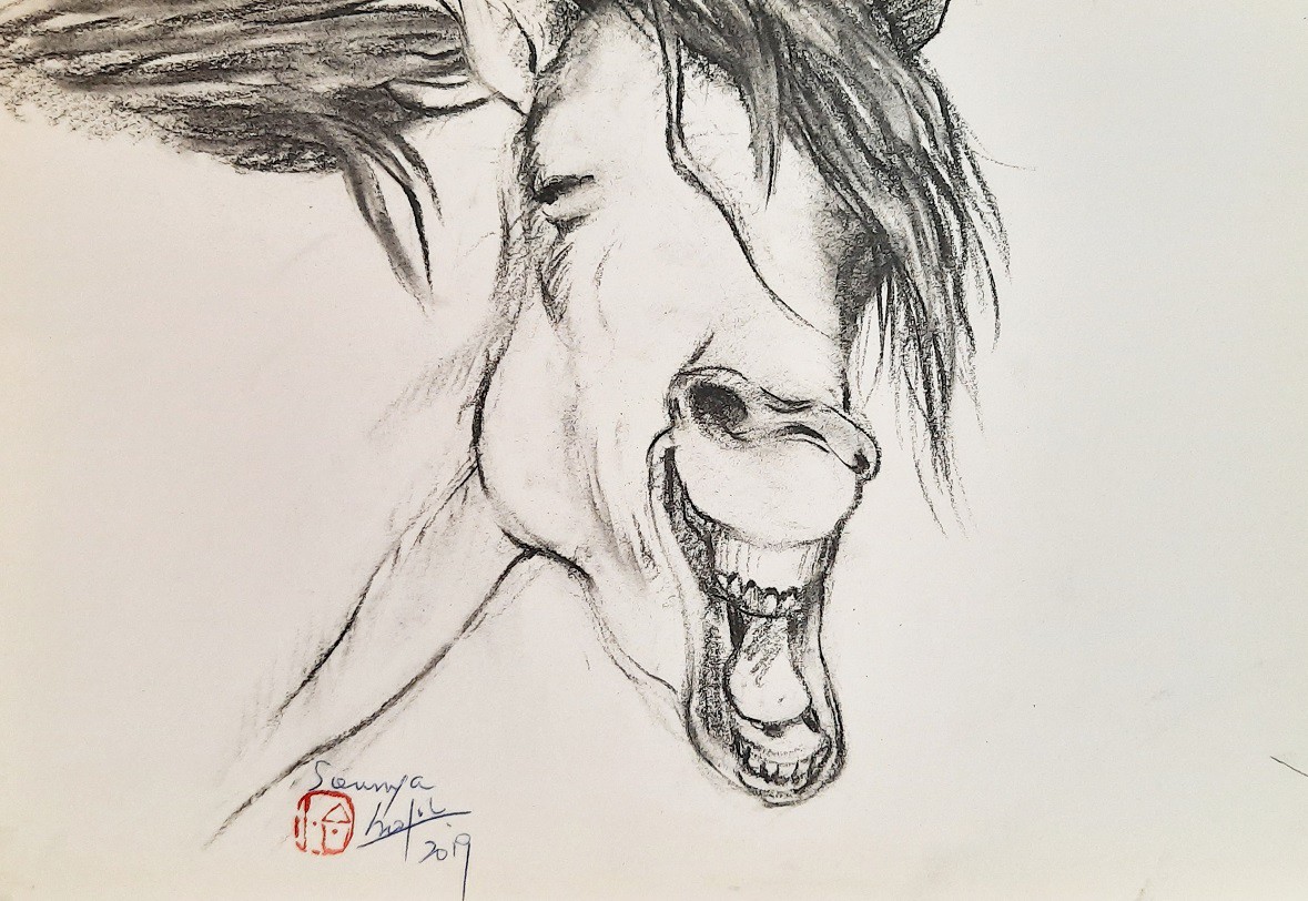 Sounya Whang, Cheval riant Sounya Whang, Cheval riant