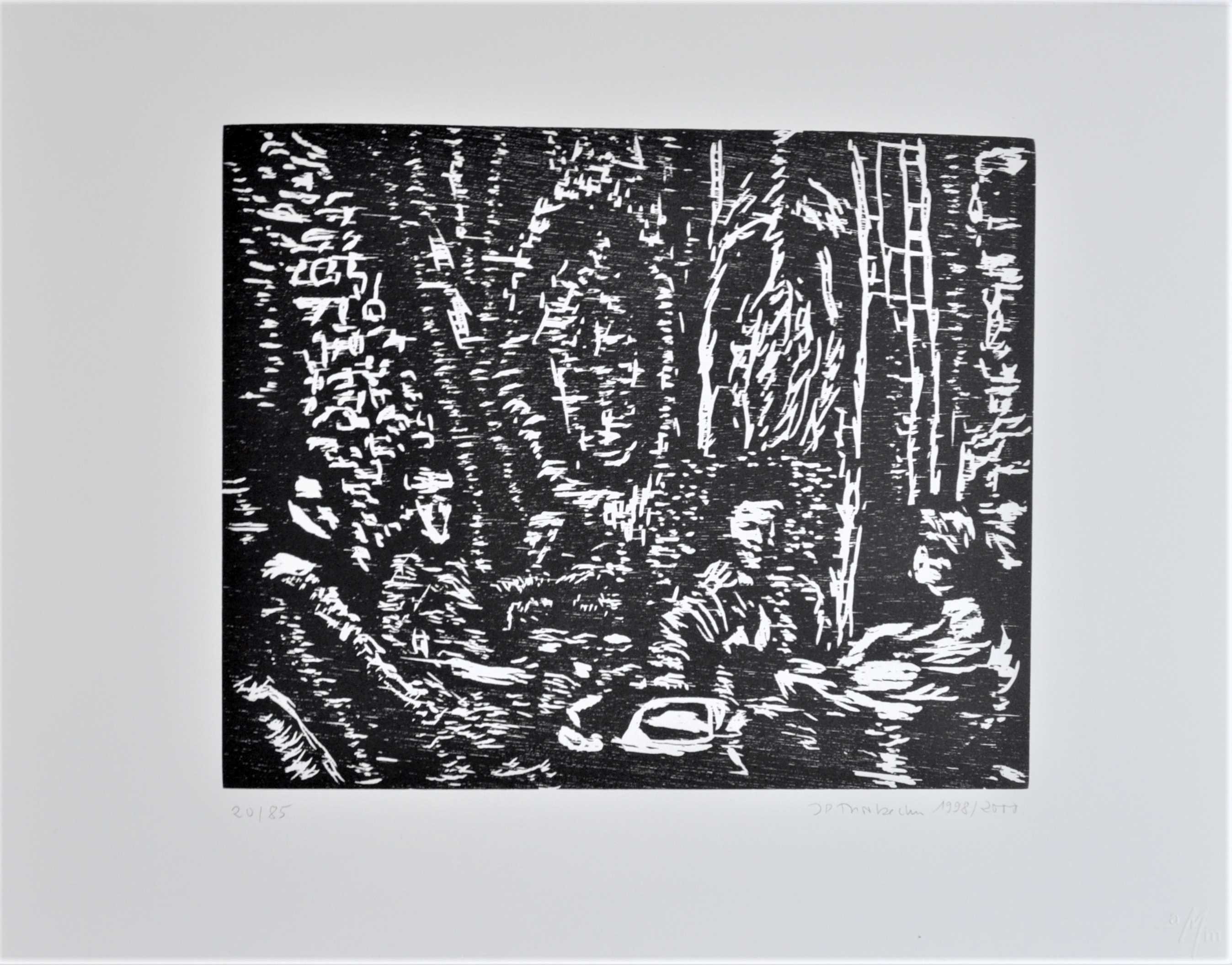 Jan Peter Thorbecke, Réunion Nocturne Jan Peter Thorbecke, Réunion Nocturne