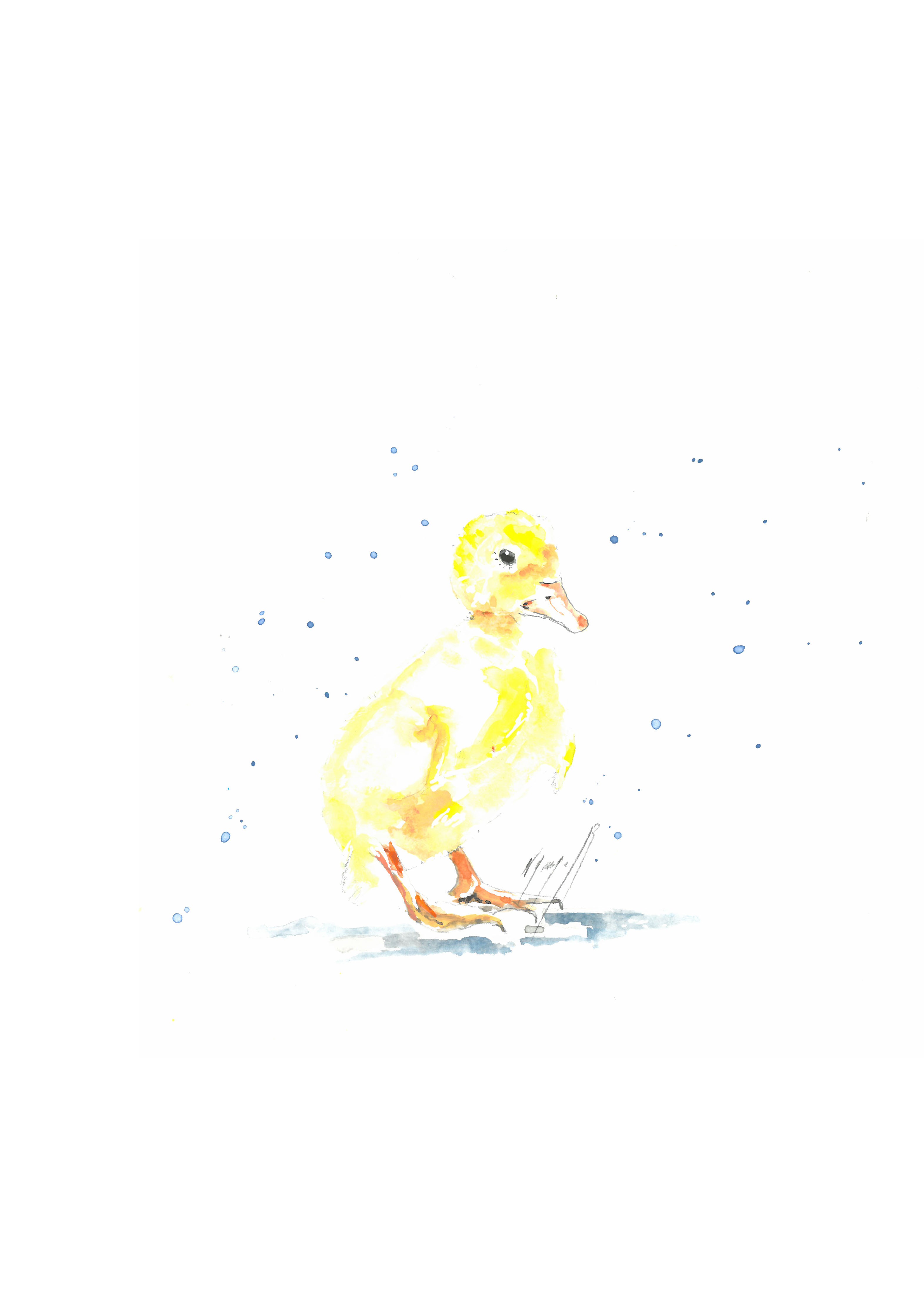 Noël Granger, Mon Petit Canard II Noël Granger, Mon Petit Canard II
