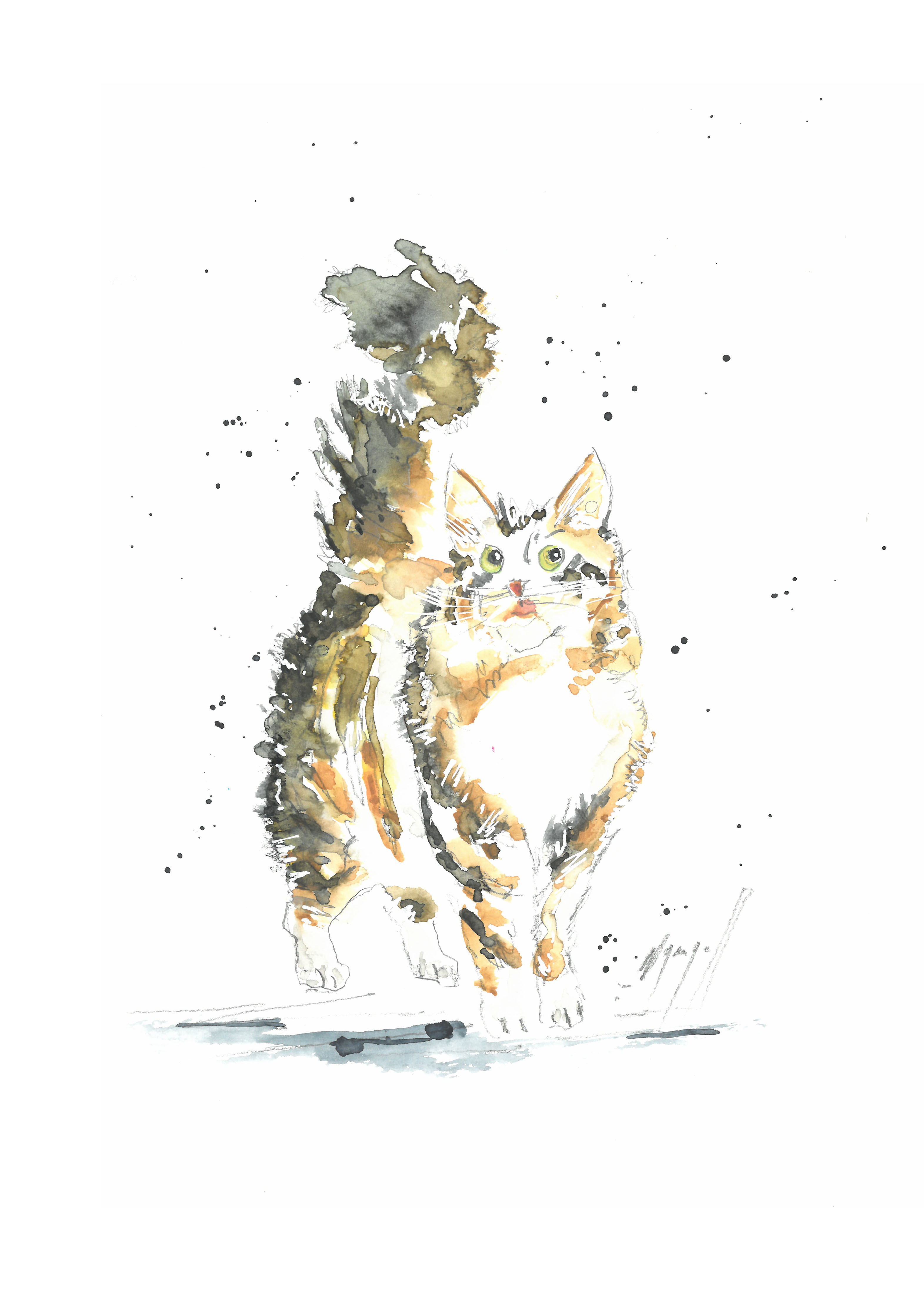 Noël Granger, Notre Chat Vanille Noël Granger, Notre Chat Vanille