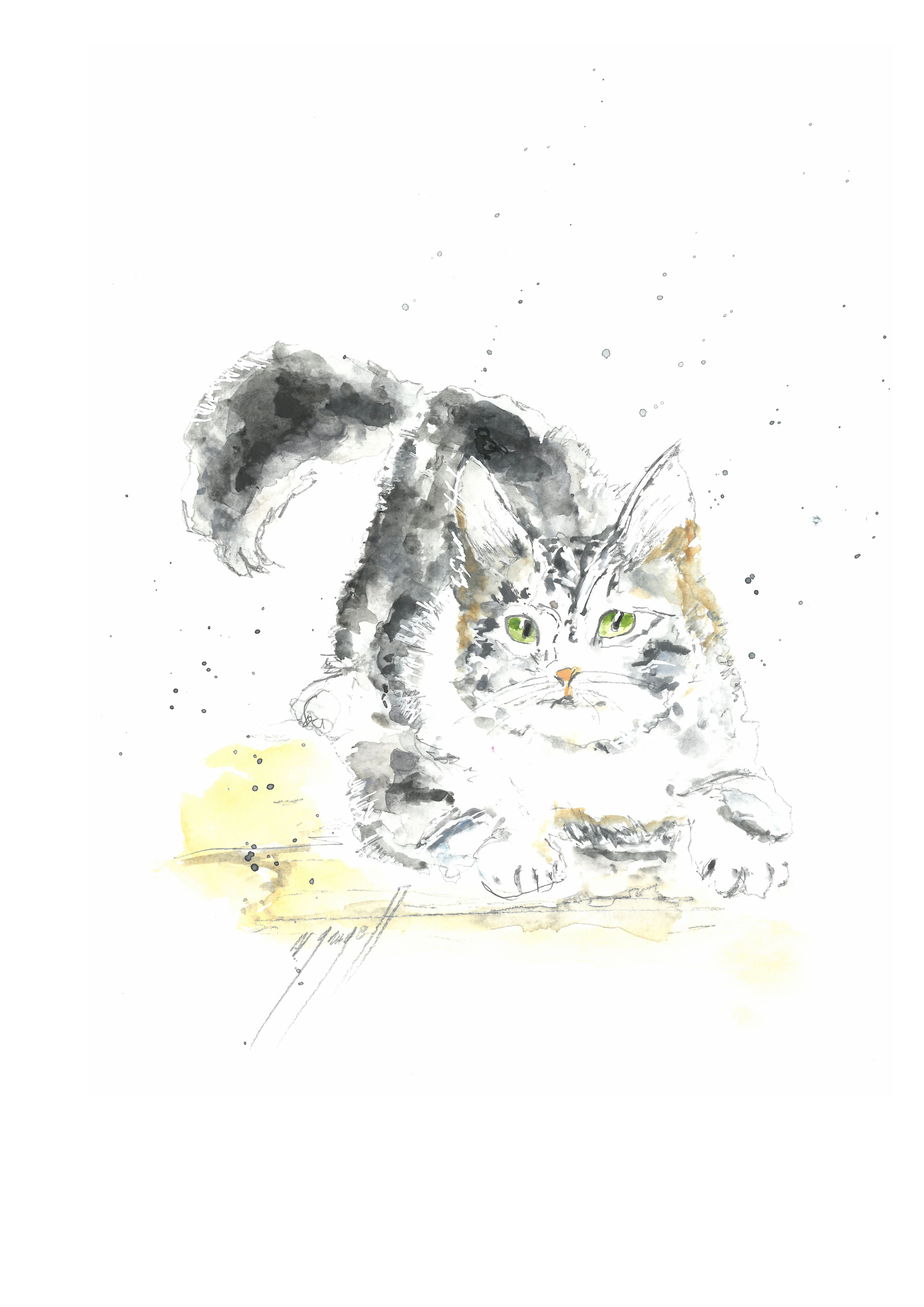 Noël Granger, Chat Alors ! Noël Granger, Chat Alors !