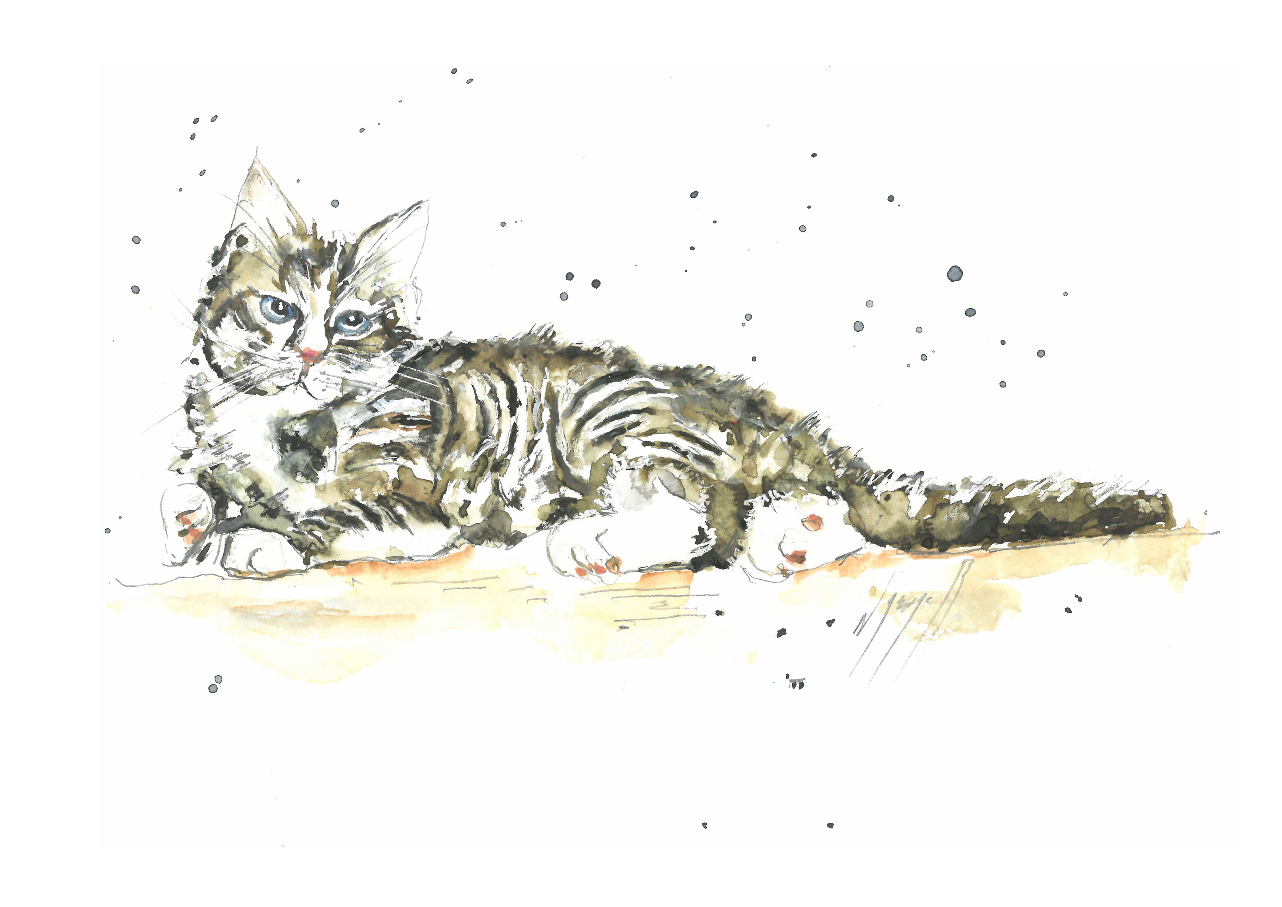Noël Granger, Chaton tigré Noël Granger, Chaton tigré