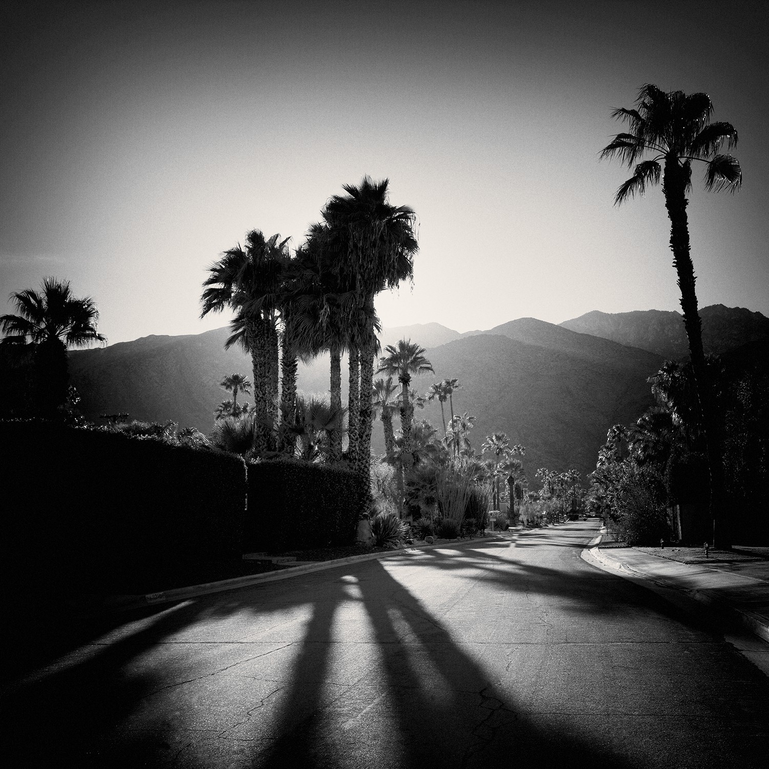 Heike Bohnstengel, Late Shadows, Twin Palms Heike Bohnstengel, Late Shadows, Twin Palms