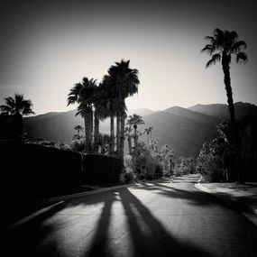 Photography, Late Shadows, Twin Palms, Heike Bohnstengel