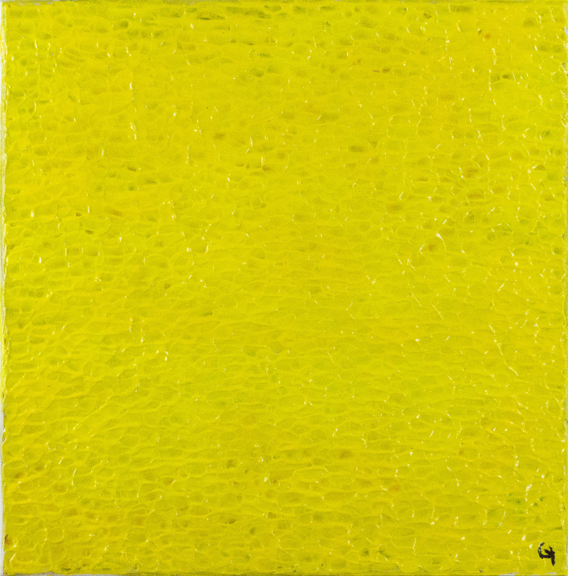 Cyrielle Schoorens, Jaune Cyrielle Schoorens, Jaune