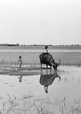 Photography, Fratello e sorella, le frère et la sœur dans les rizières de Thaïlande, Fabrizio La Torre