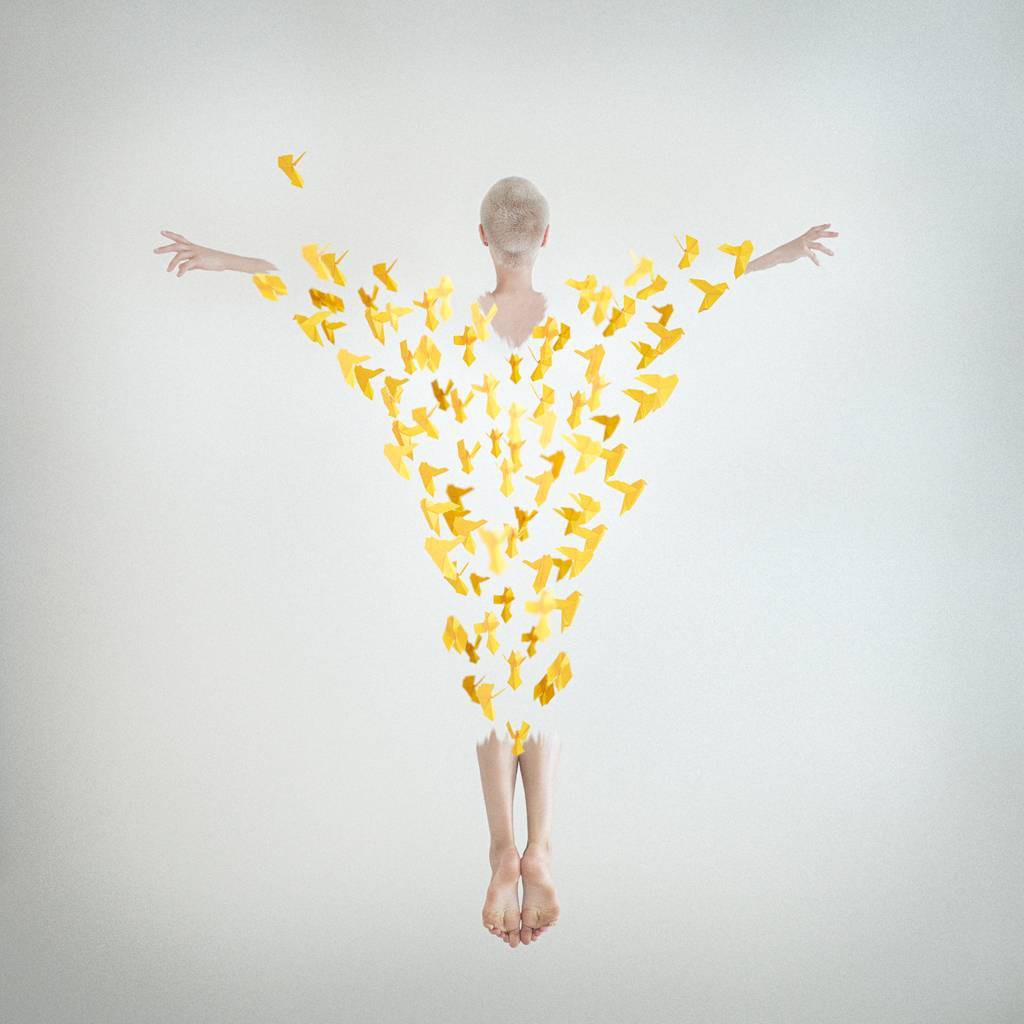 Dasha Pears, Rising Dasha Pears, Rising
