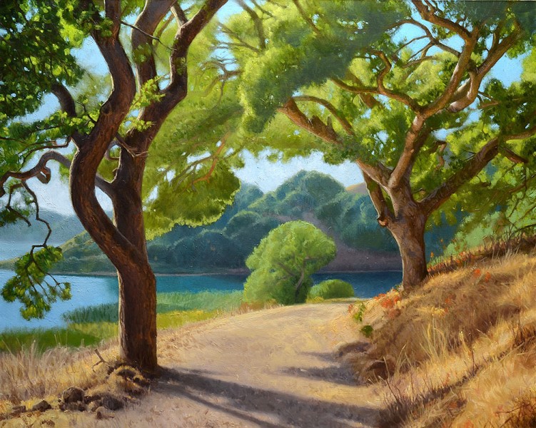 Ocean Quigley, Oak trees and afternoon light Ocean Quigley, Oak trees and afternoon light
