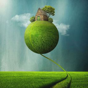 Photography, Green House, Beata Bieniak