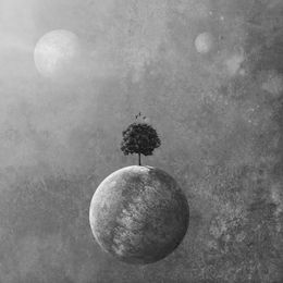 Photography, Terra Nova, Beata Bieniak