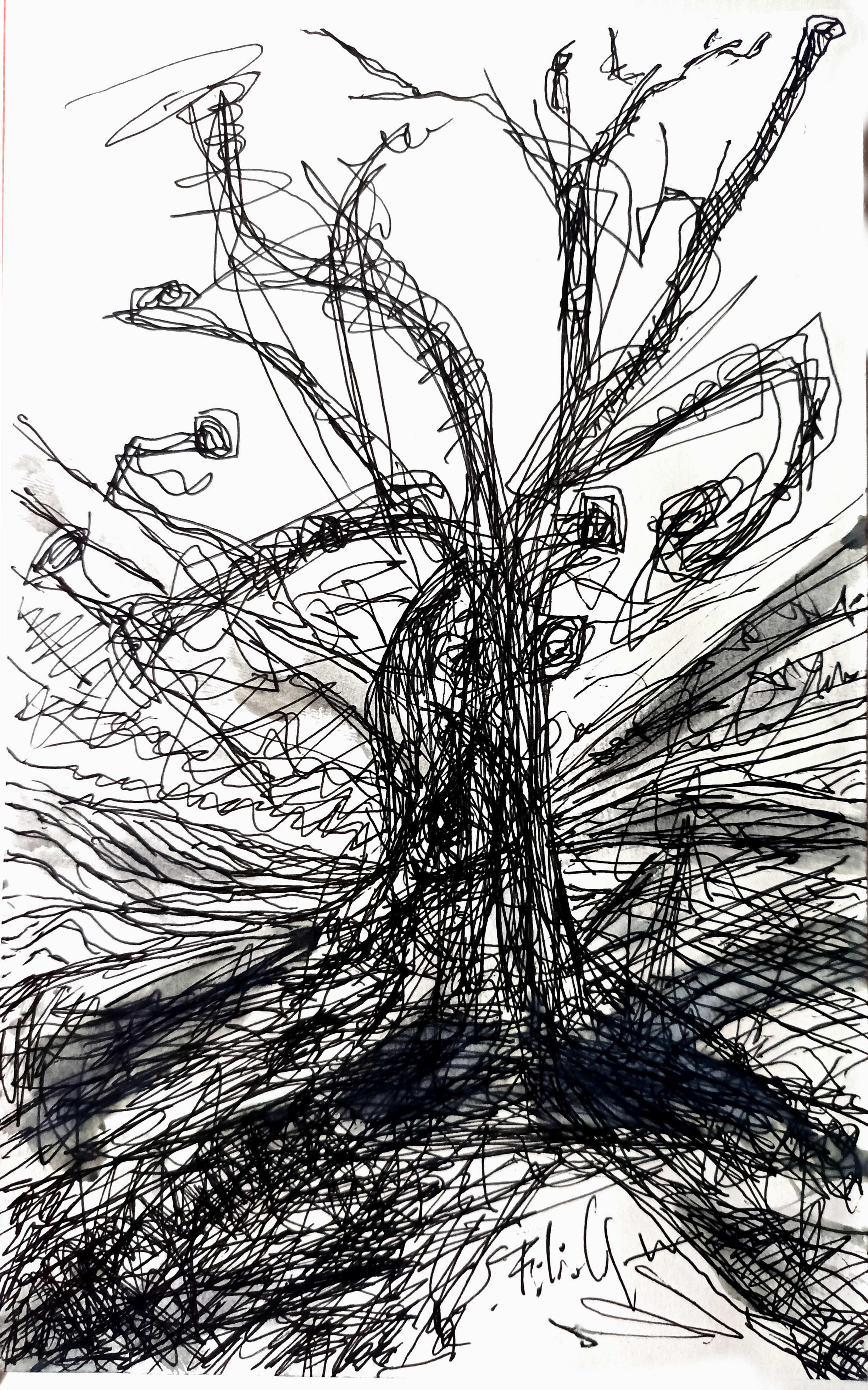 Saverio Filioli Uranio, Study on ink tree. Saverio Filioli Uranio, Study on ink tree.