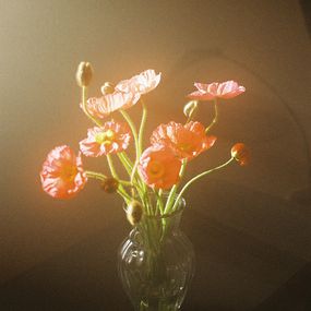 Photography, Flower poem: Scarlet gyre, Jihun Ju