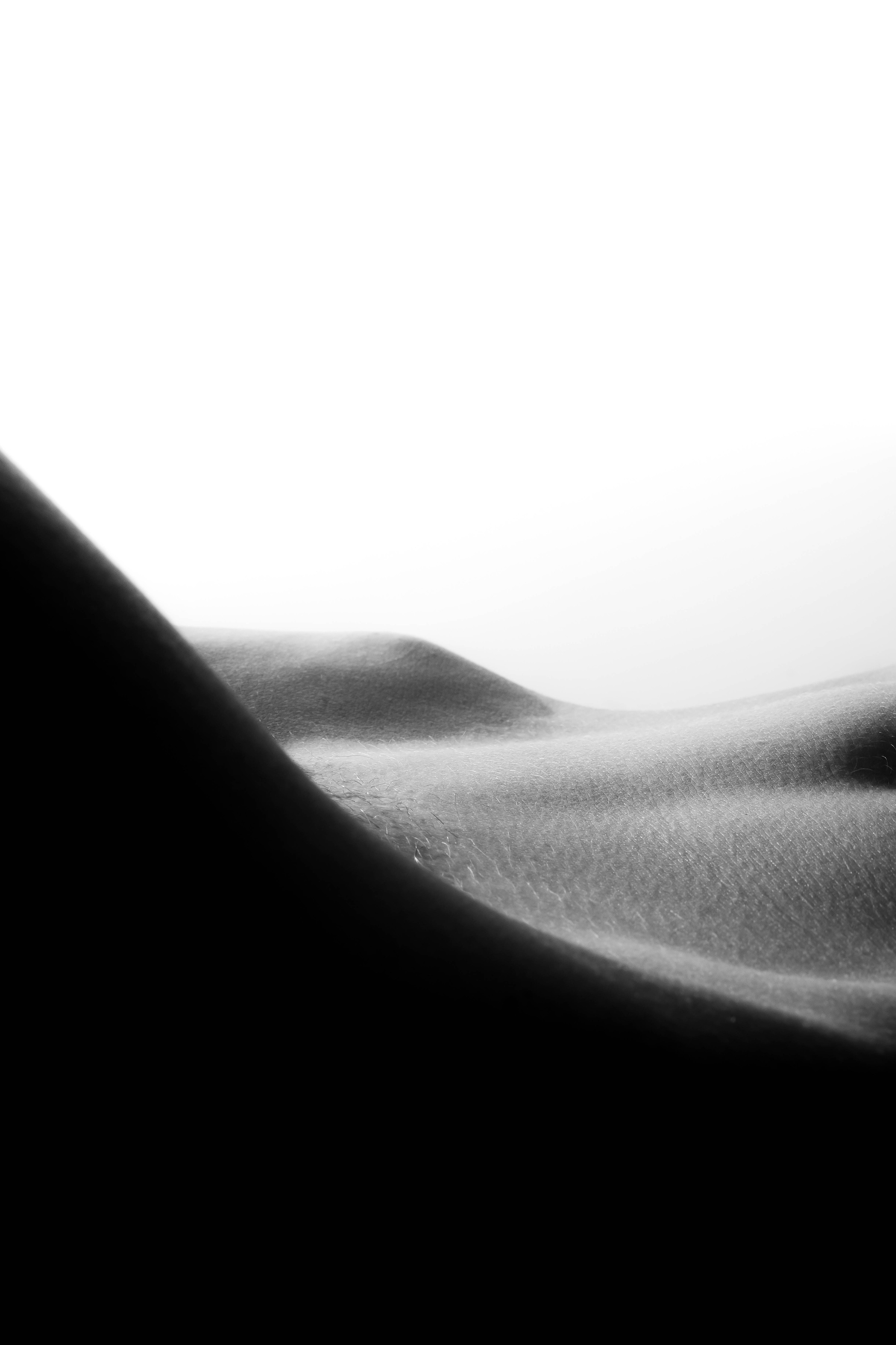 Tanguy Mendrisse, Dune Tanguy Mendrisse, Dune