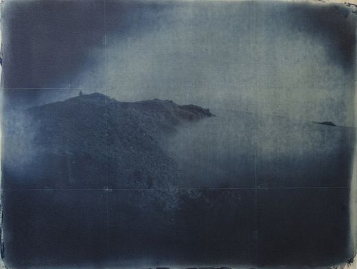Michael McCarthy