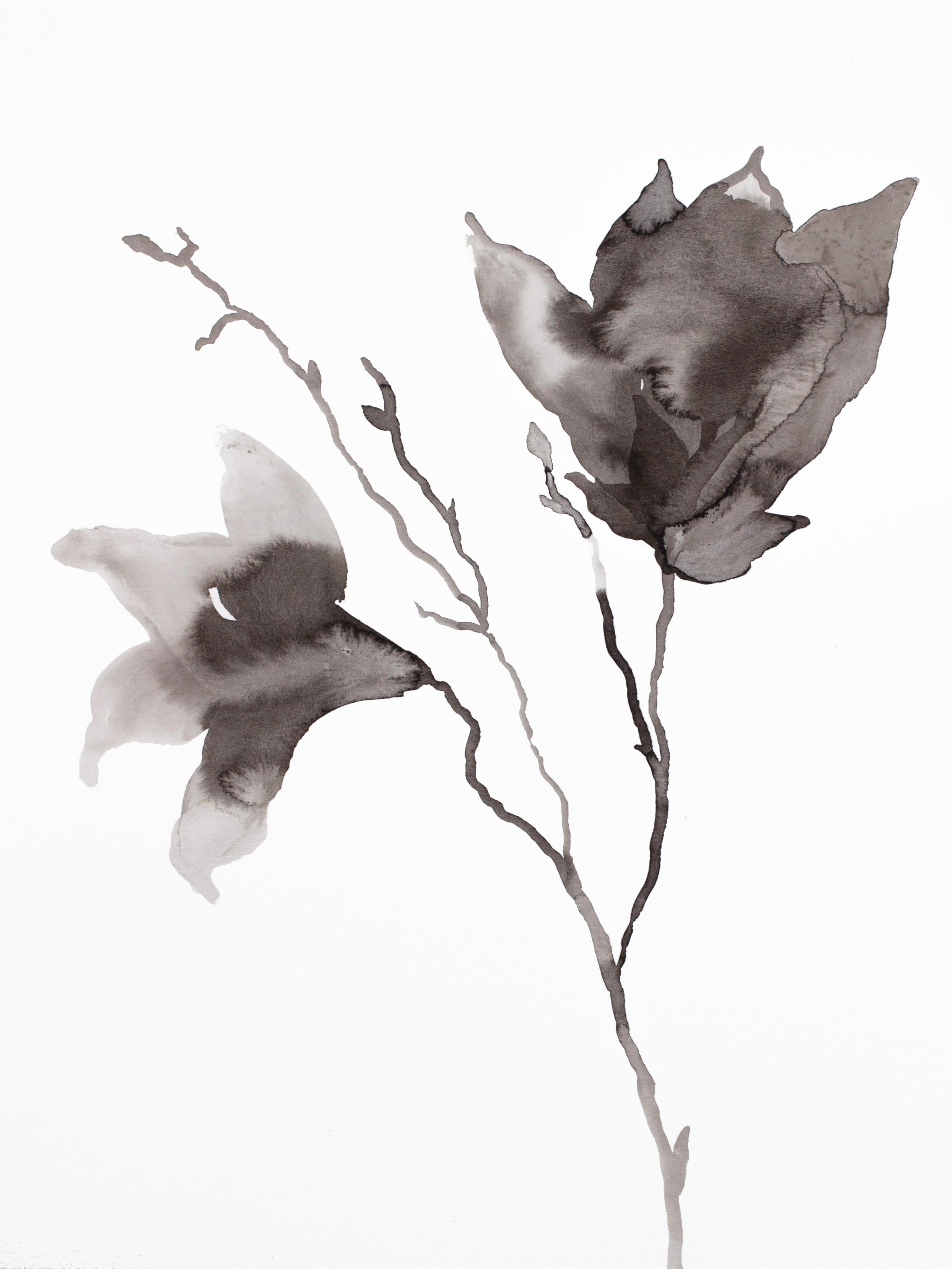 Elizabeth Becker, Magnolia No. 47 Elizabeth Becker, Magnolia No. 47
