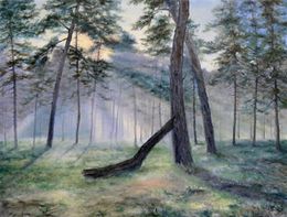 Morning sun, Sergey Lutsenko