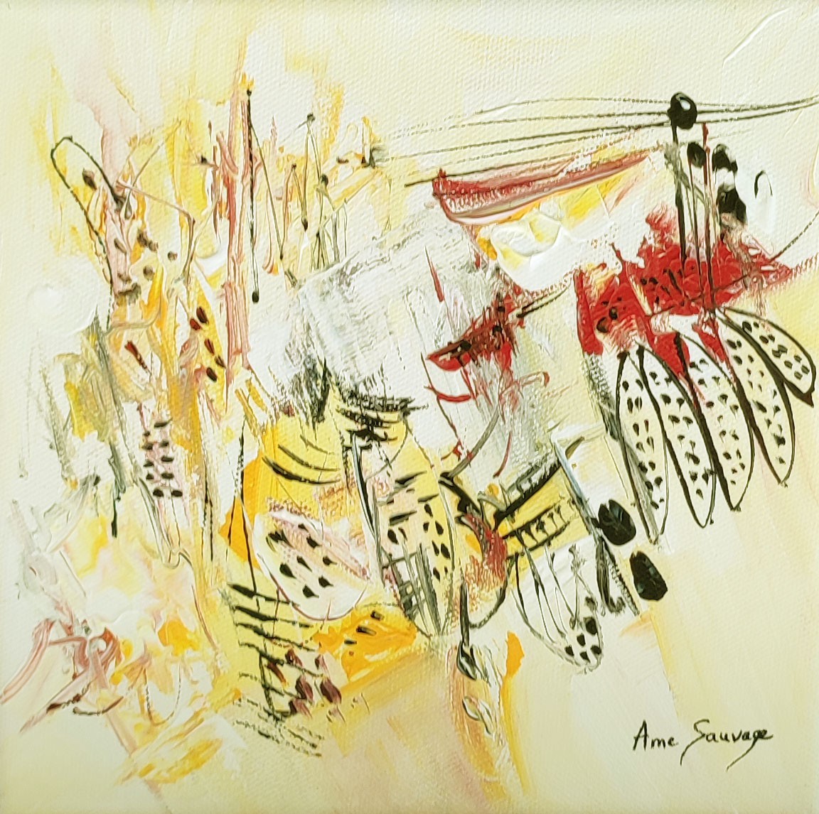 Âme Sauvage, Sans dessus dessous Âme Sauvage, Sans dessus dessous