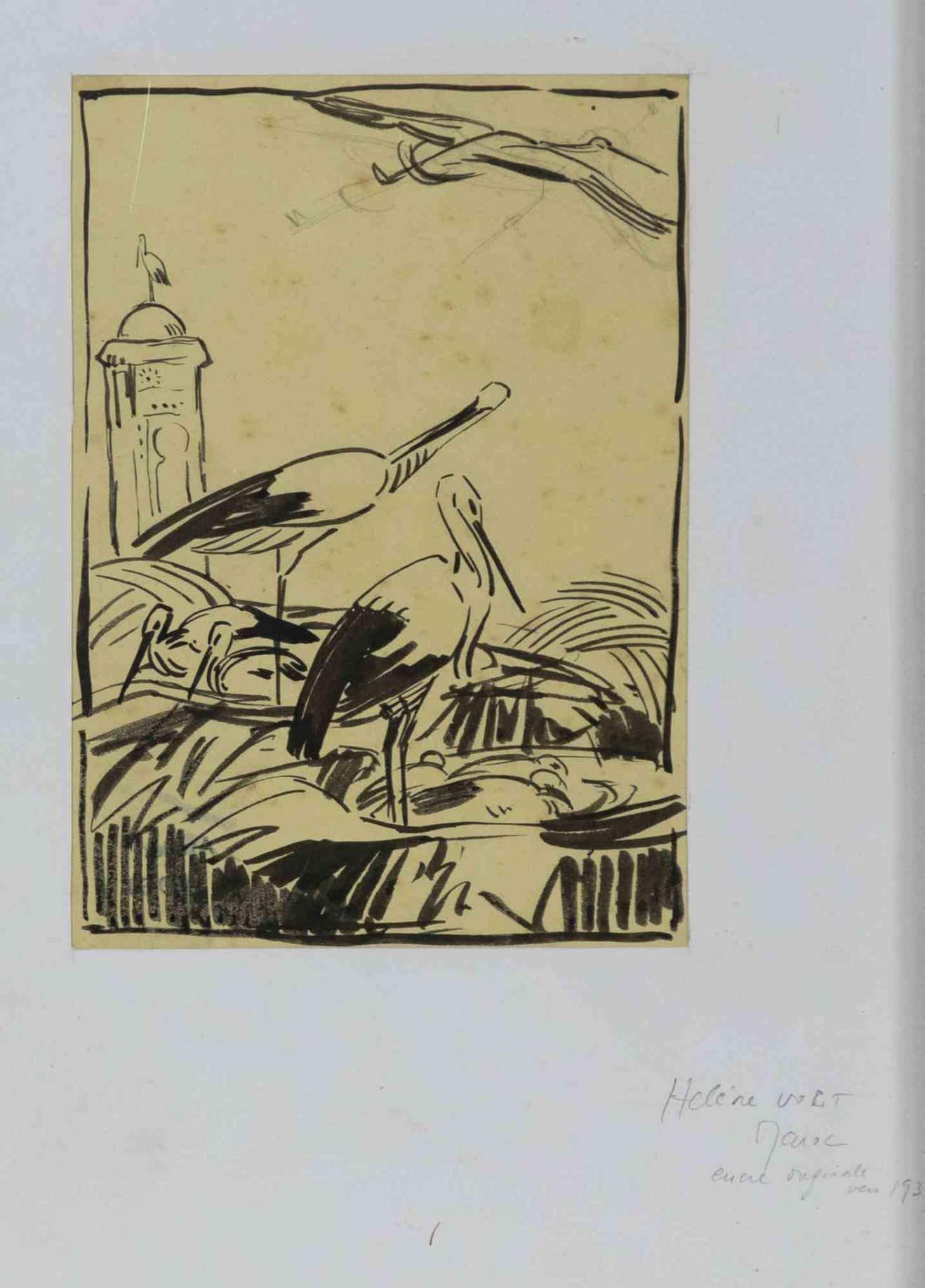 Helen Vogt, Birds in Morocco Helen Vogt, Birds in Morocco