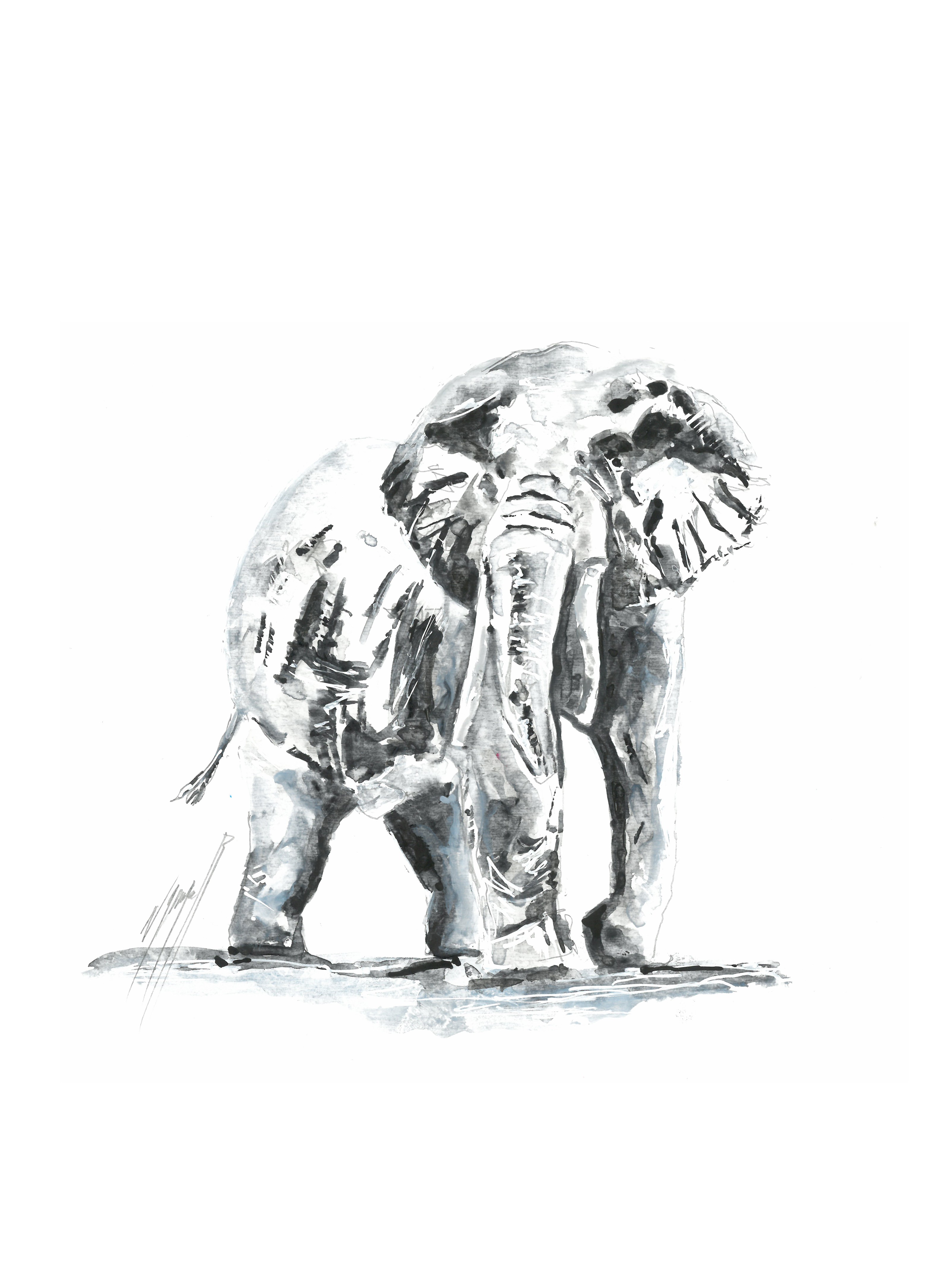 Noël Granger, My Elephant Noël Granger, My Elephant