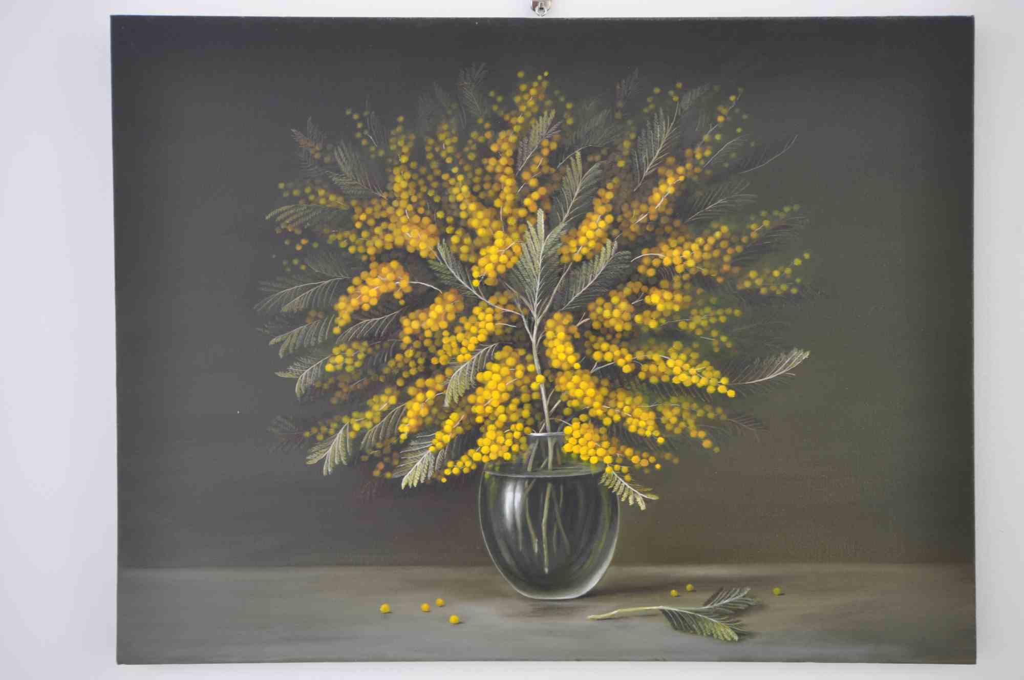 Adriano Bernetti da Vila, Mimosa 4 Adriano Bernetti da Vila, Mimosa 4