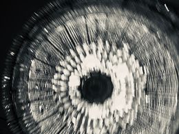 Palacio #11 - Palacio Series, Anna Levesh