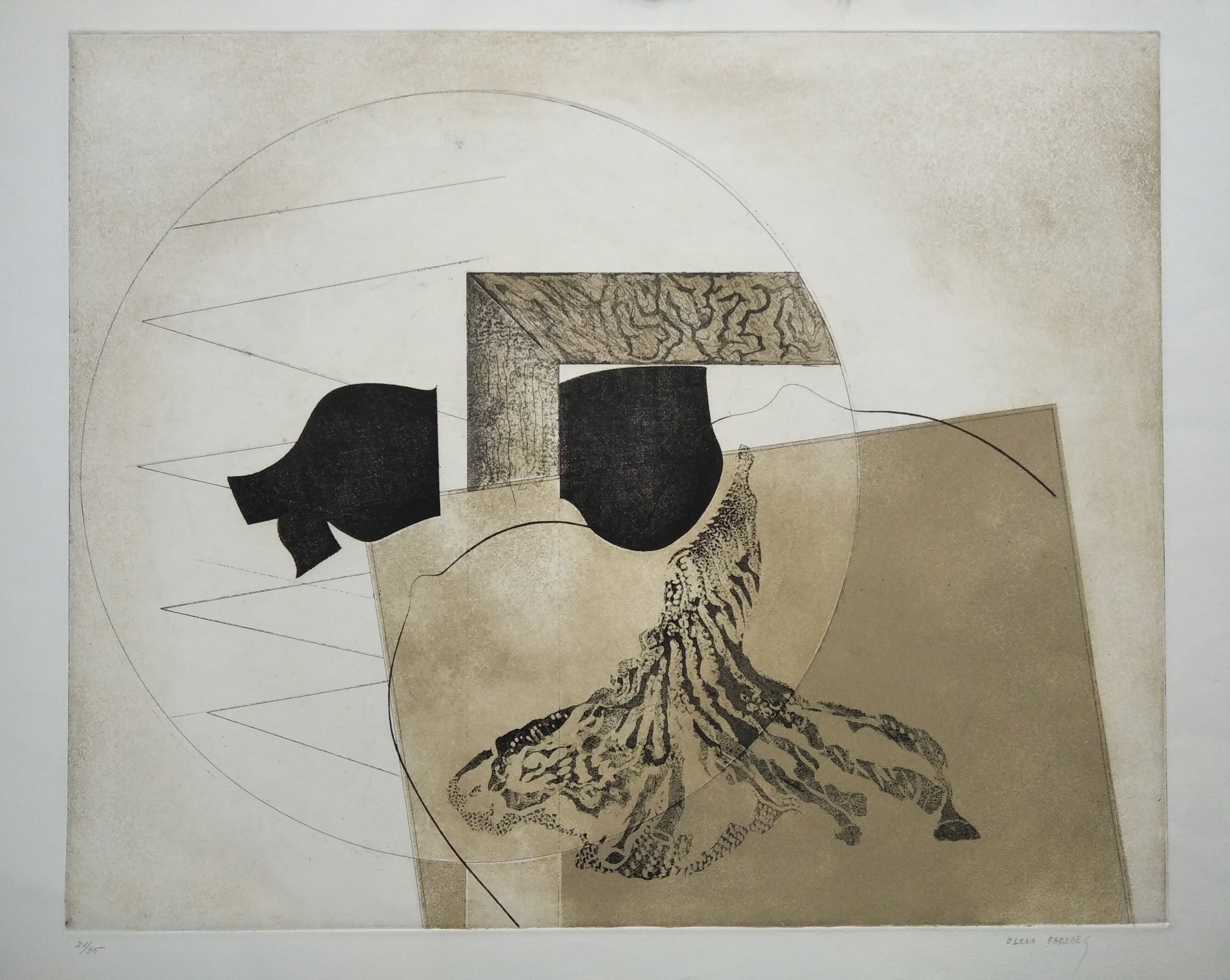 Elena Paredes, Untitled Elena Paredes, Untitled