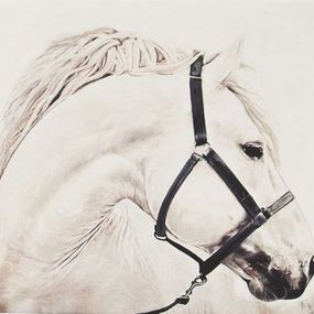 Alchimie, Caroline Mercier