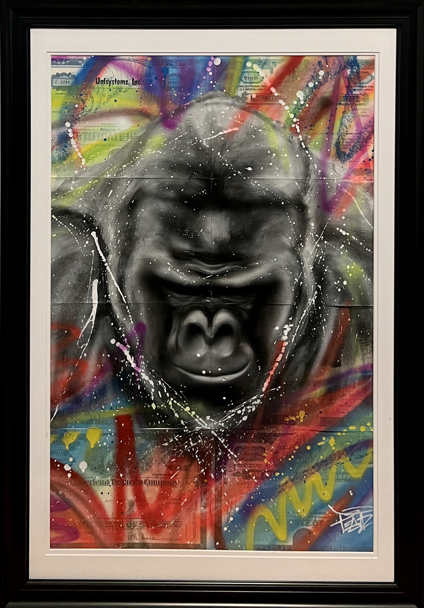 Pegaz, Gorilla Pegaz, Gorilla