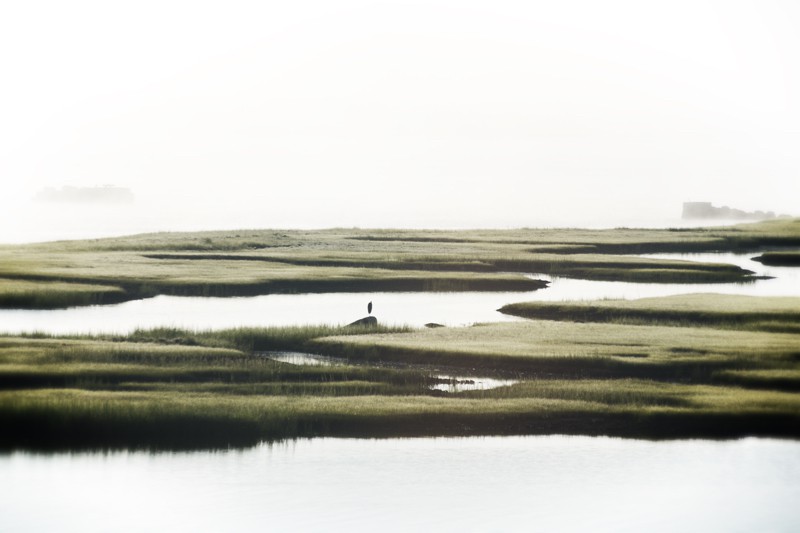 Stuart Christian Möller, Massachusetts Mist Stuart Christian Möller, Massachusetts Mist