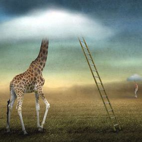 Obscured by clouds, Ben Goossens (BEL)